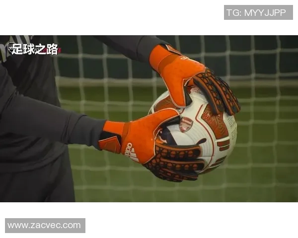 迈尼昂：从青涩新星到世界顶级门将的华丽蜕变之路